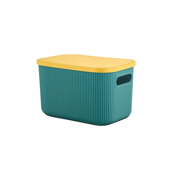 Homing Multi-Purpose Organizer Box with Lid ORG-2013