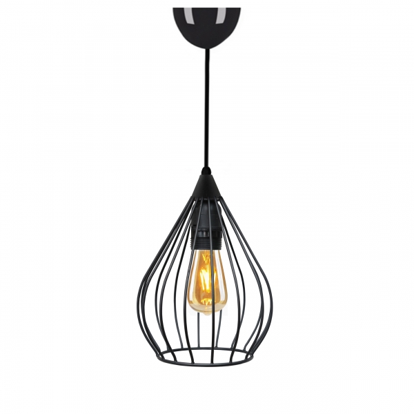 Homing Metal Wire Black Mini Pendant Lamp AYD-3371