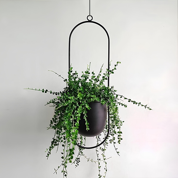 Homing Modern Design Hanging Single Flower Pot SEH-4609