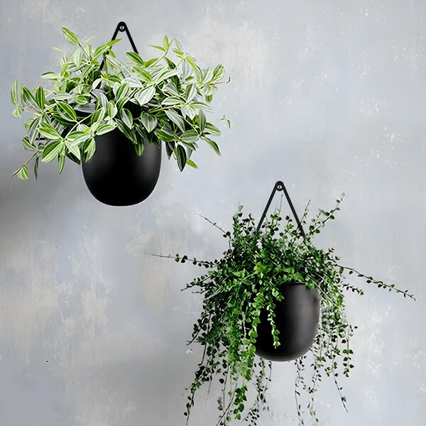 Homing Wall Mounted Flowerpot Set SEH-4612