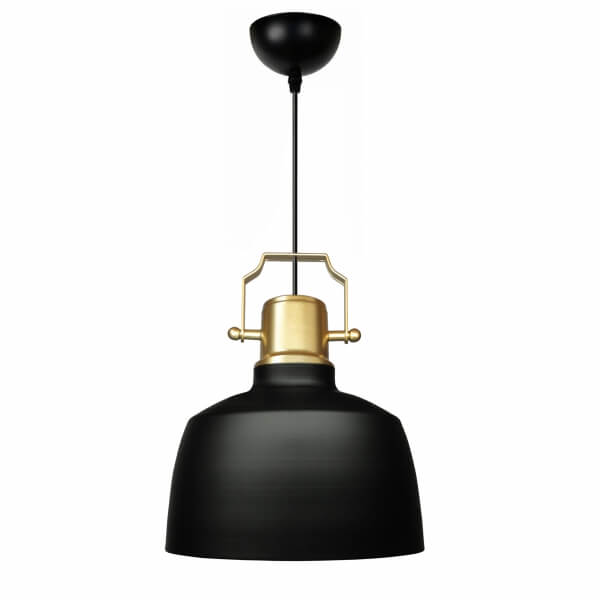 Homing Gold Detailed Black Single Metal Pendant Lamp AYD-3724