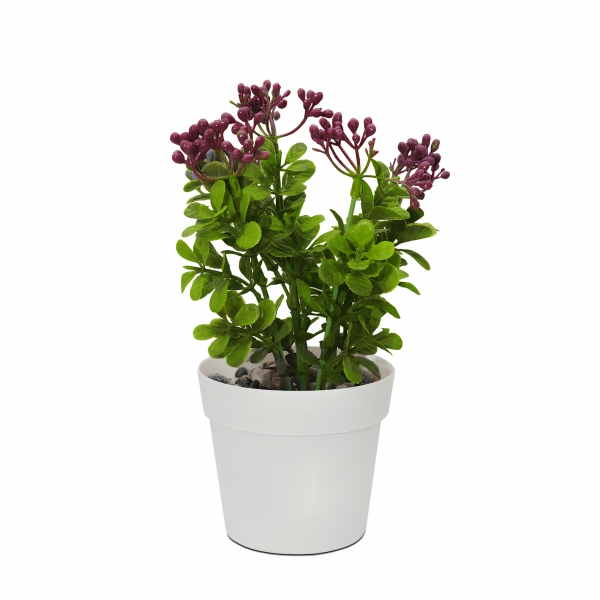 Homing Artificial Flower White Potted 241341