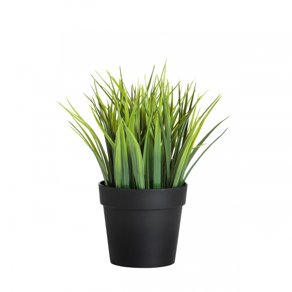 Homing Artificial Grass Black Potted 241348