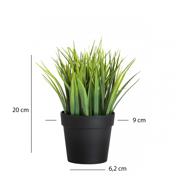 Homing Artificial Grass Black Potted 241348