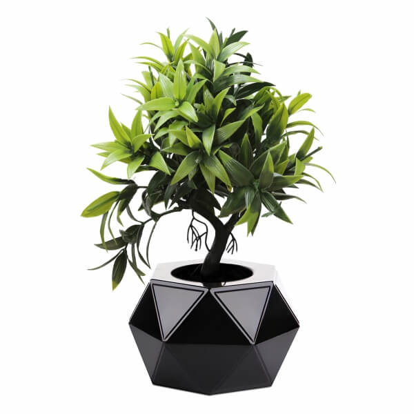 Homing Artificial Bonsai Plant Black Pot - 33 cm 241545