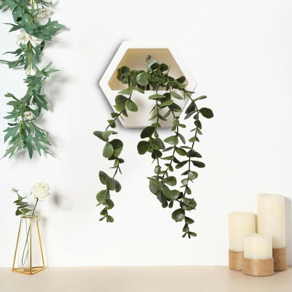 Homing Hanging Eucalyptus Wall Mounted Ecru Pot 241582