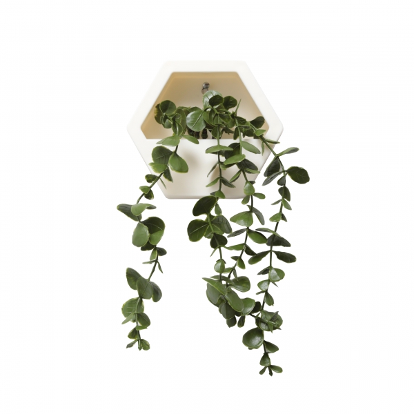 Homing Hanging Eucalyptus Wall Mounted Ecru Pot 241582