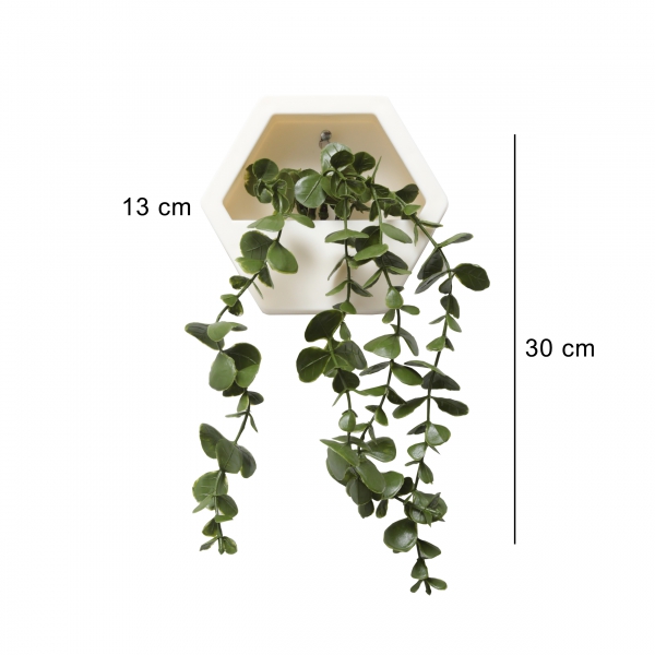 Homing Hanging Eucalyptus Wall Mounted Ecru Pot 241582