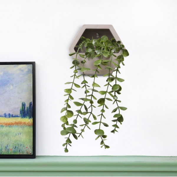 Homing Hanging Eucalyptus in a Flower Pot Wall Mounted with Beige Pot 241584