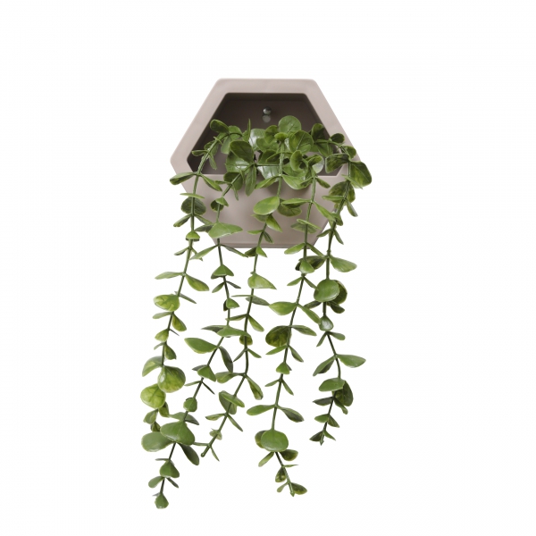 Homing Hanging Eucalyptus in a Flower Pot Wall Mounted with Beige Pot 241584