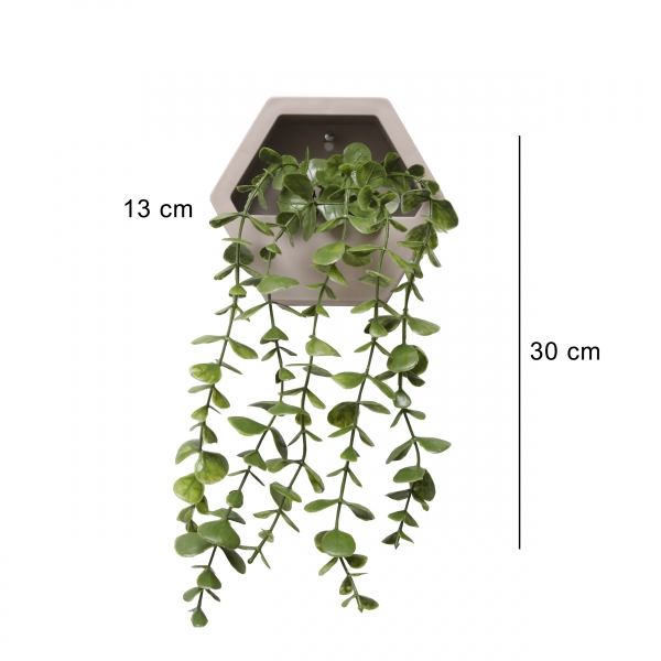 Homing Hanging Eucalyptus in a Flower Pot Wall Mounted with Beige Pot 241584