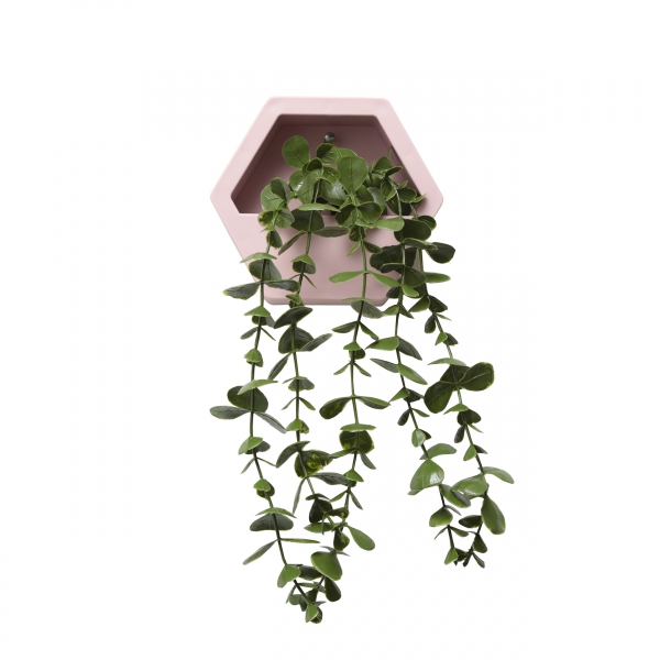 Homing Hanging Eucalyptus Wall Mounted Soft Pink Potted 241585