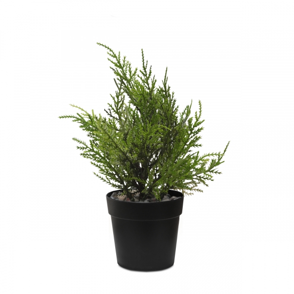 Homing Artificial Leylandi Tree in Black Pot 25 cm