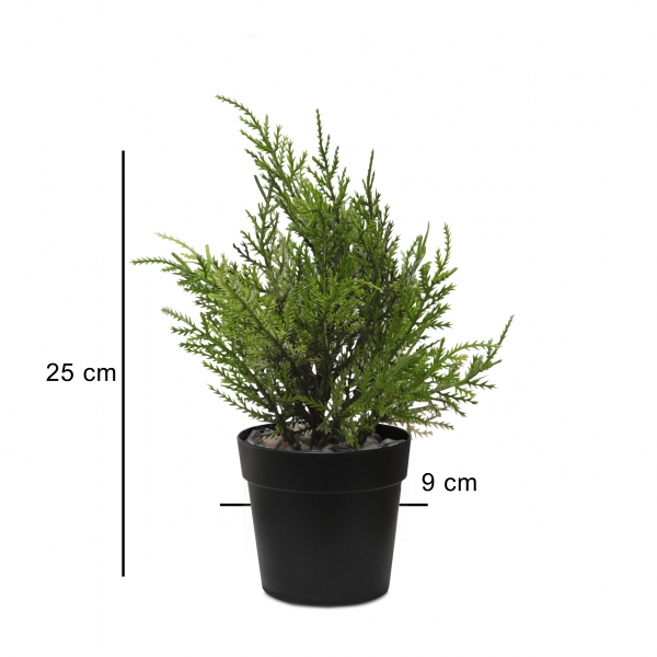 Homing Artificial Leylandi Tree in Black Pot 25 cm