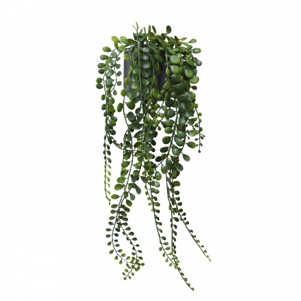 Homing Green Leaf Hanging Plant 40 cm 241589