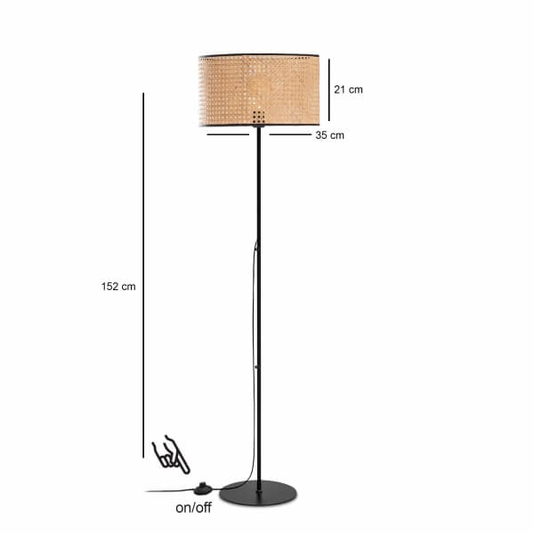 Homing Brooks Metal Body Rattan Floor Lamp 241611