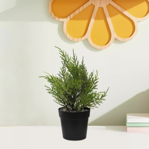 Homing Artificial Leylandi Tree in Black Pot 25 cm